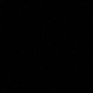 Meet your Posher, Carlie